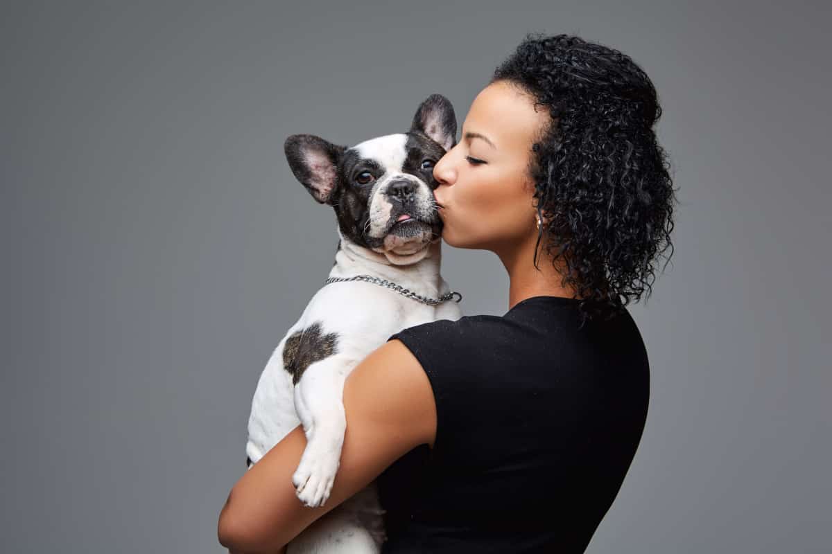 How Should French Bulldogs Be Carried?