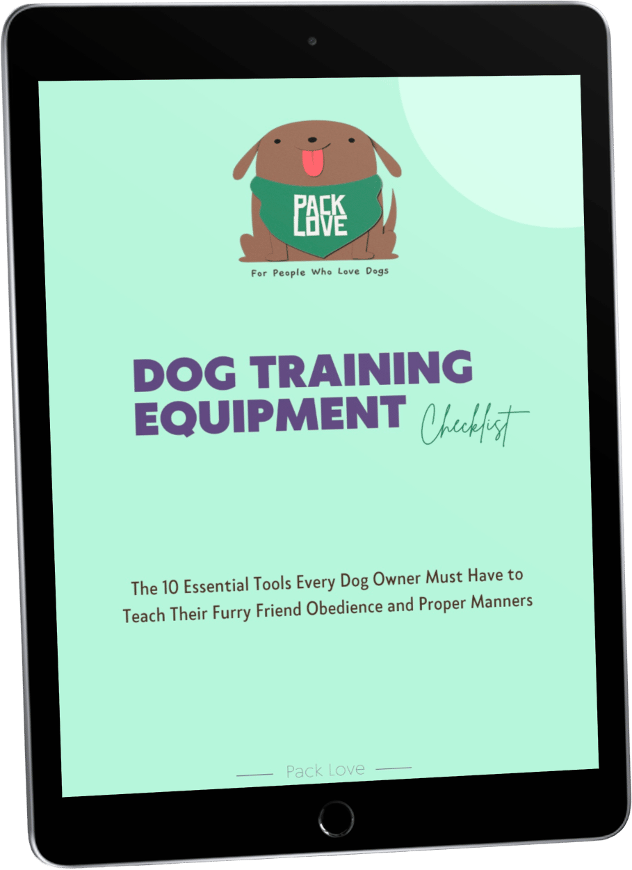 Dog Training Equipment Checklist Mockup