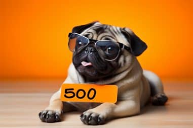 How Much Do Pugs Cost