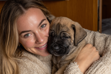 Boerboel Suitability For First-time Owners