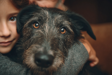 Scottish Deerhound Temperament And Personality